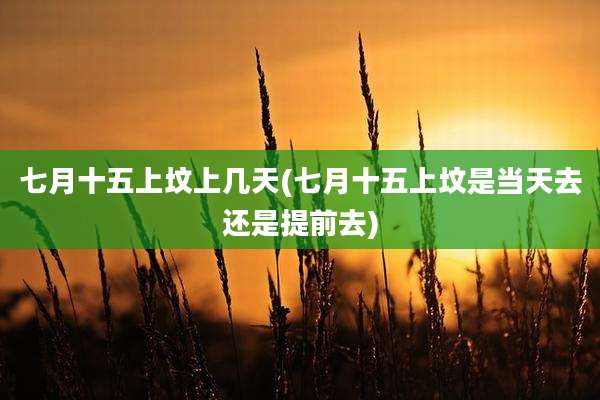 七月十五上坟上几天(七月十五上坟是当天去还是提前去)