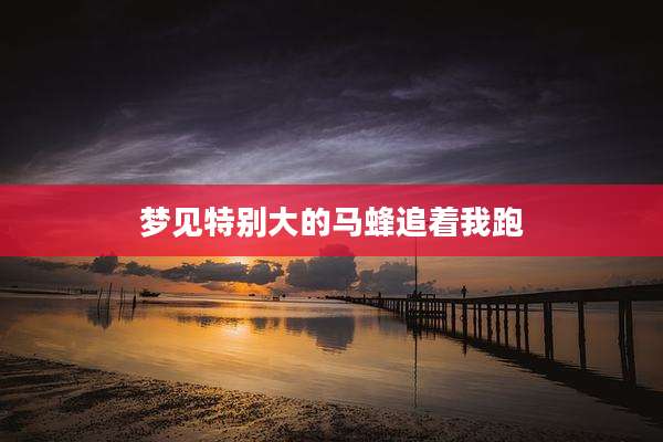 梦见特别大的马蜂追着我跑