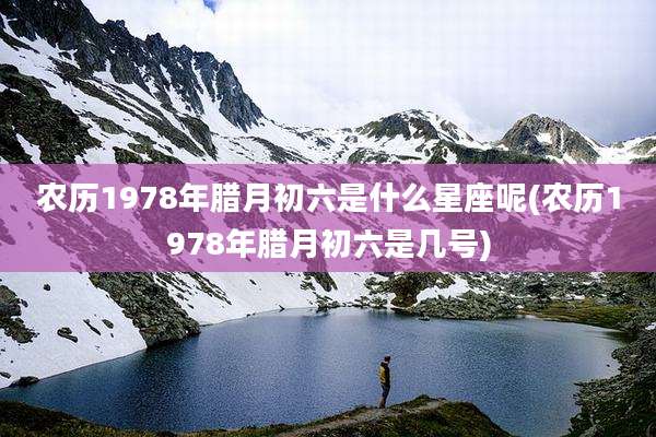 农历1978年腊月初六是什么星座呢(农历1978年腊月初六是几号)