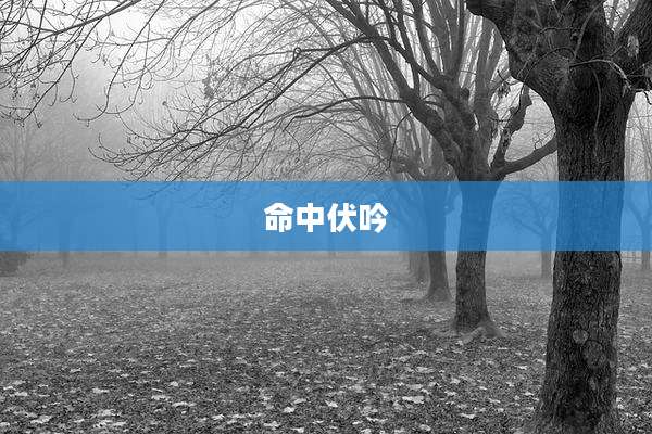 命中伏吟