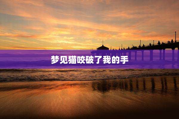 梦见猫咬破了我的手
