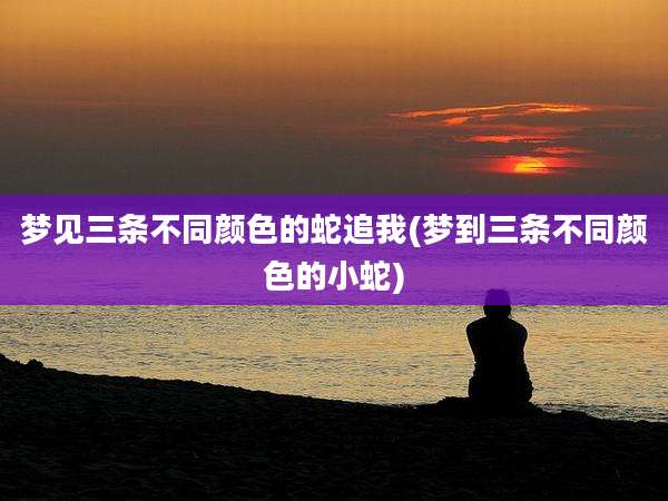 梦见三条不同颜色的蛇追我(梦到三条不同颜色的小蛇)