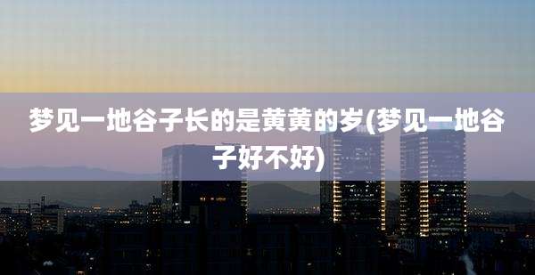 梦见一地谷子长的是黄黄的岁(梦见一地谷子好不好)