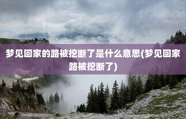 梦见回家的路被挖断了是什么意思(梦见回家路被挖断了)