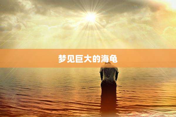 梦见巨大的海龟