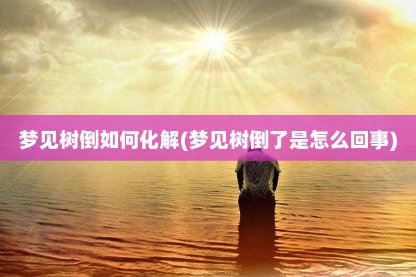 梦见树倒如何化解(梦见树倒了是怎么回事)