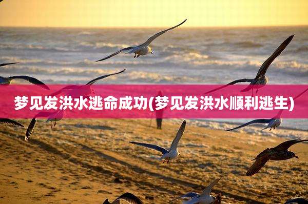 梦见发洪水逃命成功(梦见发洪水顺利逃生)