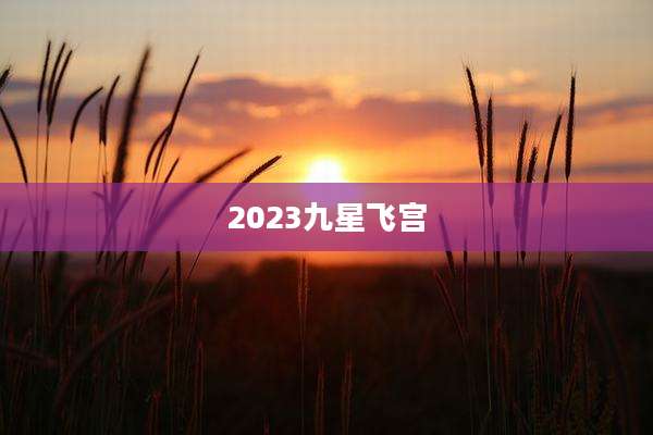 2023九星飞宫