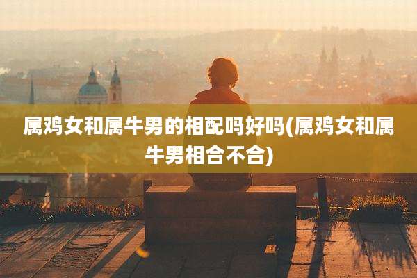 属鸡女和属牛男的相配吗好吗(属鸡女和属牛男相合不合)