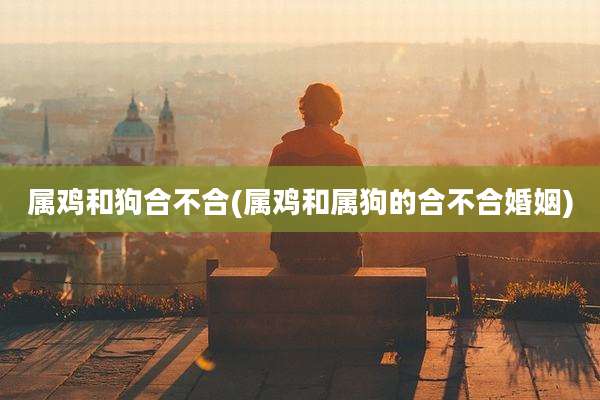 属鸡和狗合不合(属鸡和属狗的合不合婚姻)