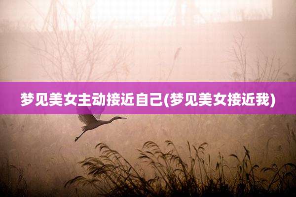梦见美女主动接近自己(梦见美女接近我)