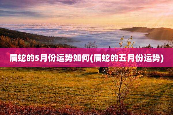 属蛇的5月份运势如何(属蛇的五月份运势)