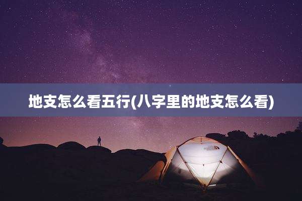地支怎么看五行(八字里的地支怎么看)