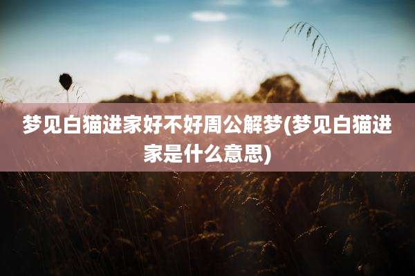 梦见白猫进家好不好周公解梦(梦见白猫进家是什么意思)