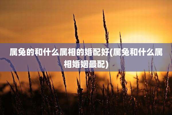 属兔的和什么属相的婚配好(属兔和什么属相婚姻最配)