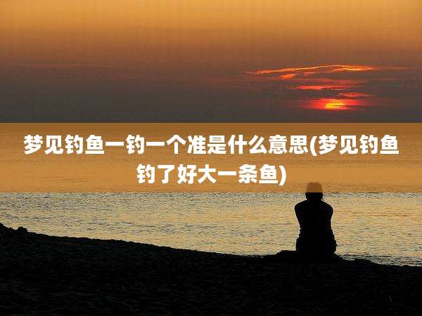 梦见钓鱼一钓一个准是什么意思(梦见钓鱼钓了好大一条鱼)