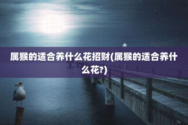 属猴的适合养什么花招财(属猴的适合养什么花?)