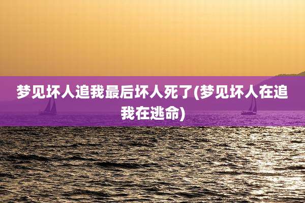 梦见坏人追我最后坏人死了(梦见坏人在追我在逃命)