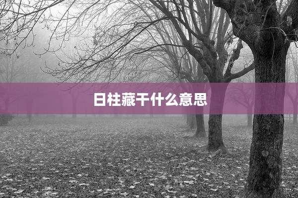 日柱藏干什么意思