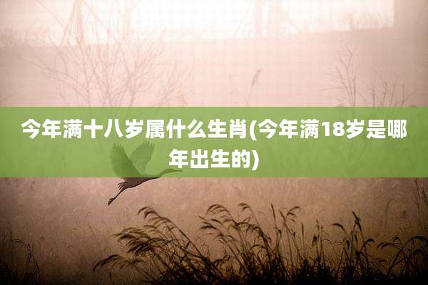 今年满十八岁属什么生肖(今年满18岁是哪年出生的)