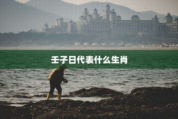 壬子日代表什么生肖