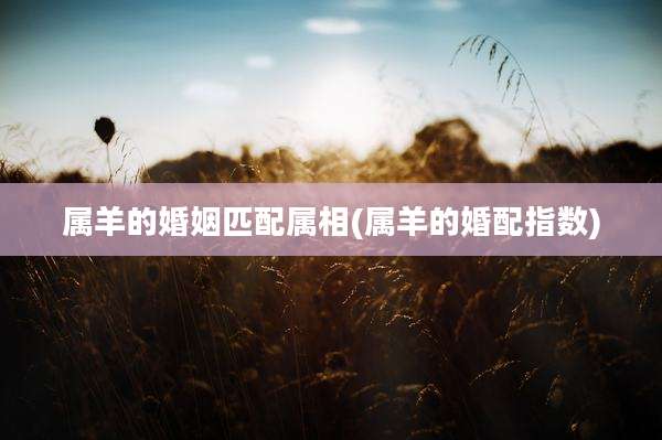 属羊的婚姻匹配属相(属羊的婚配指数)
