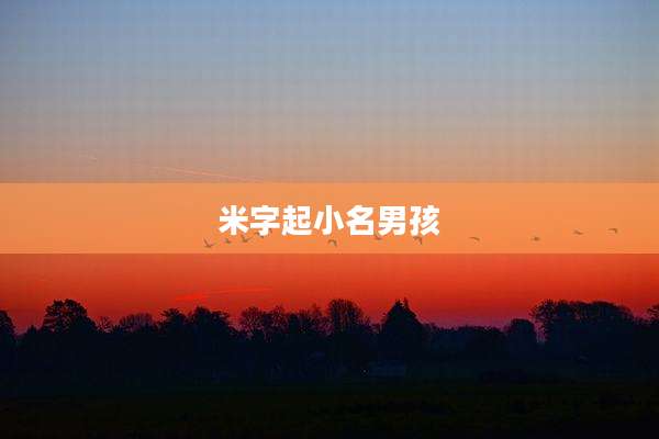 米字起小名男孩