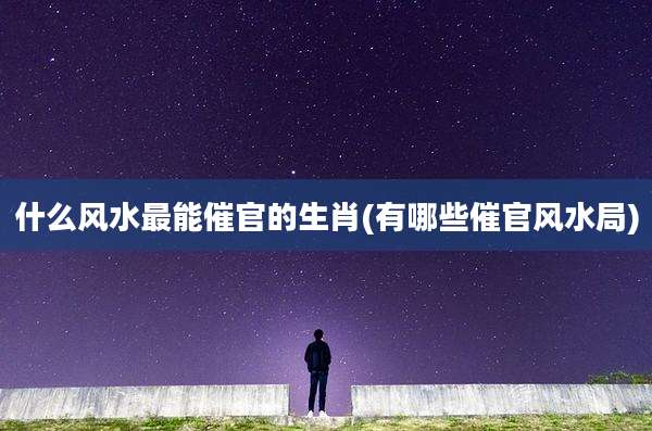 什么风水最能催官的生肖(有哪些催官风水局)
