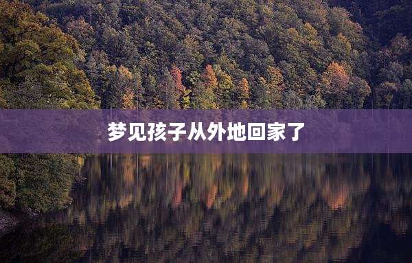 梦见孩子从外地回家了