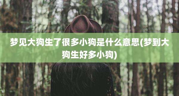 梦见大狗生了很多小狗是什么意思(梦到大狗生好多小狗)
