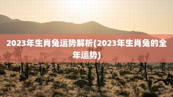 2023年生肖兔运势解析(2023年生肖兔的全年运势)