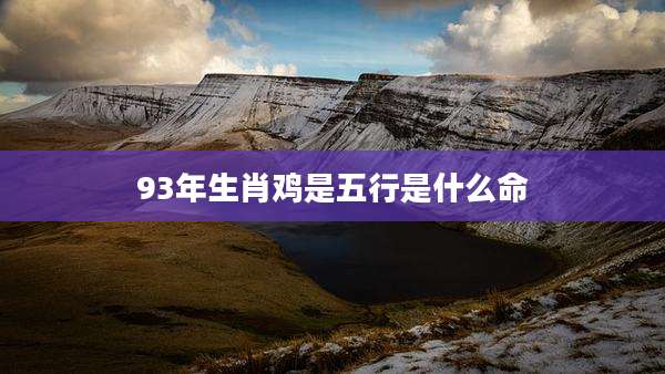 93年生肖鸡是五行是什么命