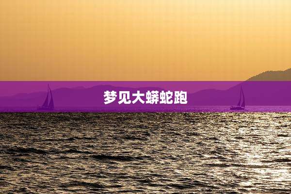 梦见大蟒蛇跑