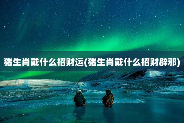 猪生肖戴什么招财运(猪生肖戴什么招财辟邪)