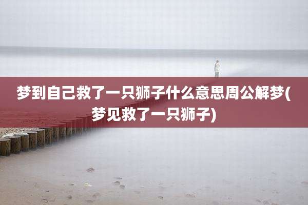 梦到自己救了一只狮子什么意思周公解梦(梦见救了一只狮子)