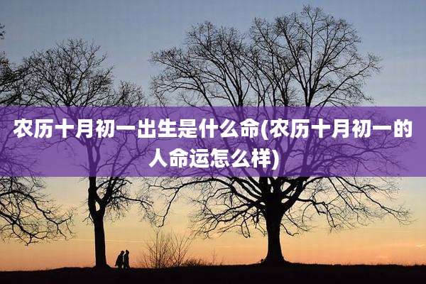 农历十月初一出生是什么命(农历十月初一的人命运怎么样)