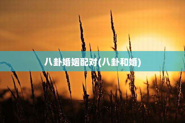 八卦婚姻配对(八卦和婚)