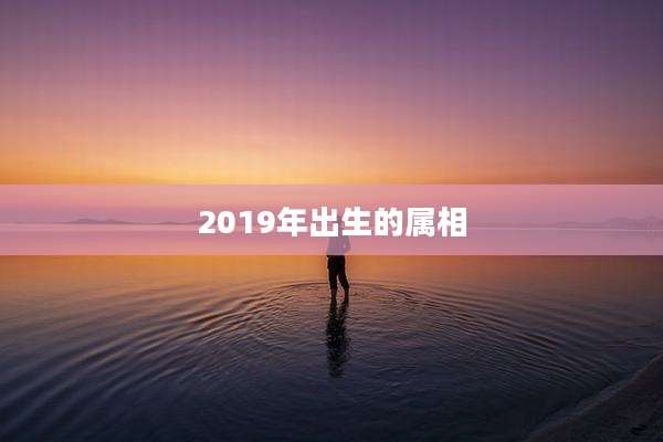 2019年出生的属相