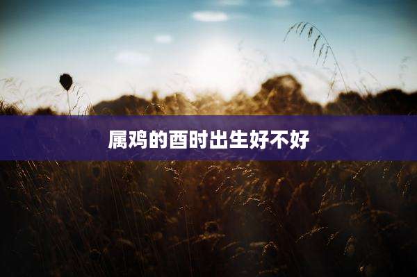 属鸡的酉时出生好不好