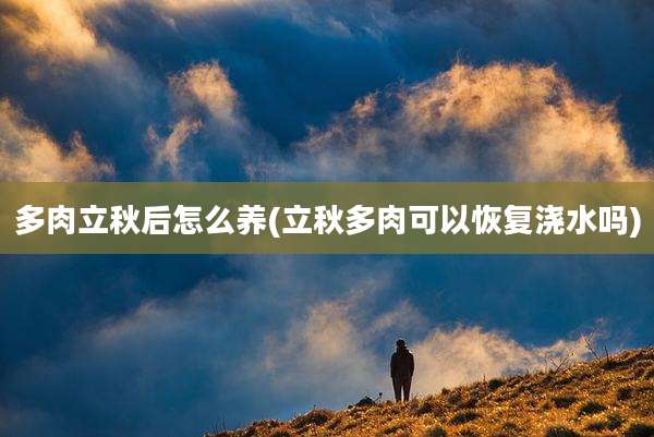 多肉立秋后怎么养(立秋多肉可以恢复浇水吗)