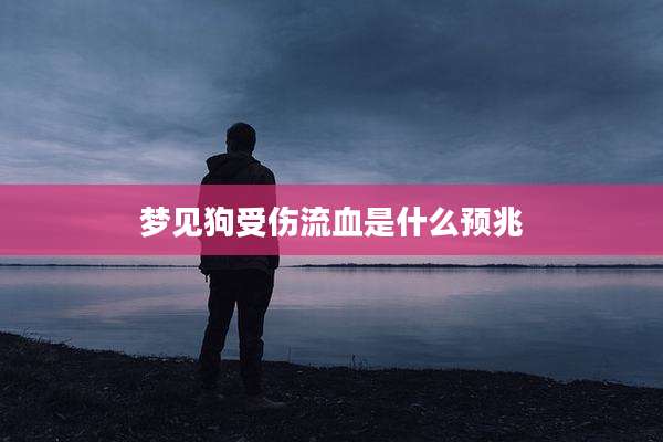 梦见狗受伤流血是什么预兆