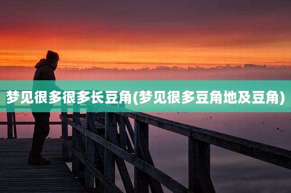 梦见很多很多长豆角(梦见很多豆角地及豆角)