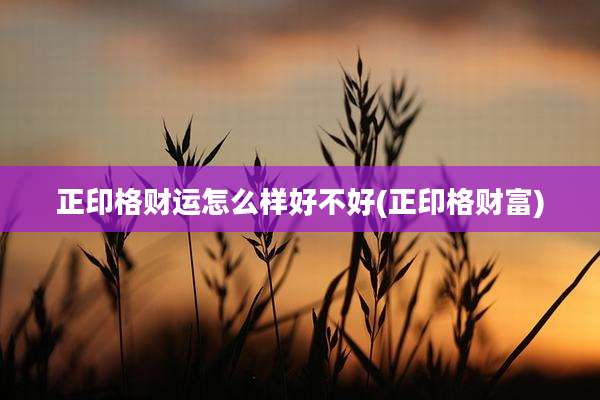 正印格财运怎么样好不好(正印格财富)