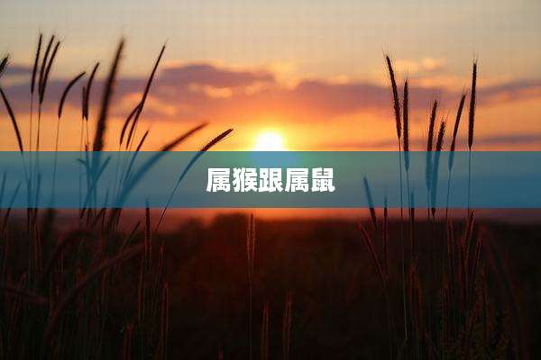 属猴跟属鼠