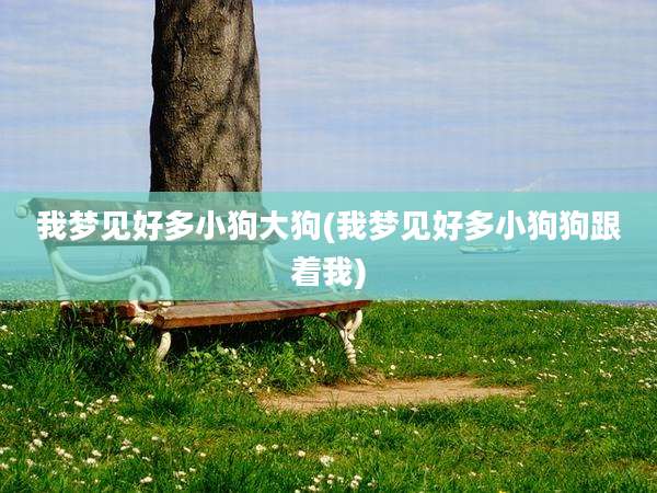 我梦见好多小狗大狗(我梦见好多小狗狗跟着我)