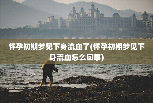 怀孕初期梦见下身流血了(怀孕初期梦见下身流血怎么回事)