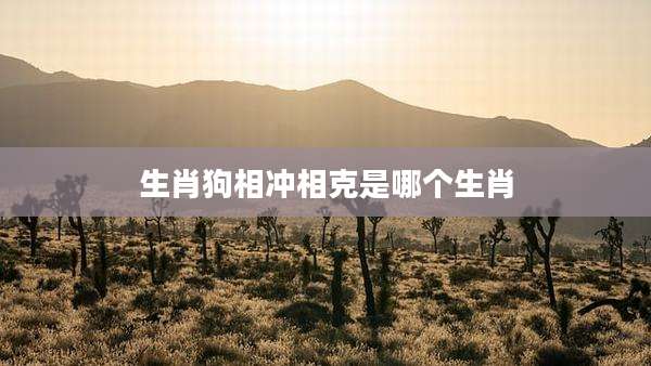 生肖狗相冲相克是哪个生肖