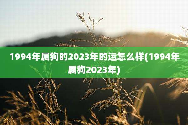 1994年属狗的2023年的运怎么样(1994年属狗2023年)