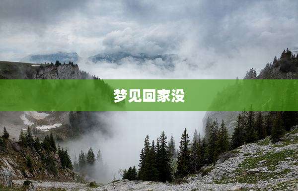 梦见回家没