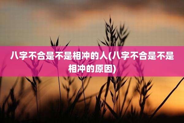 八字不合是不是相冲的人(八字不合是不是相冲的原因)
